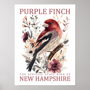 Poster Purple Finch Bird of New Hampshire USA Travel