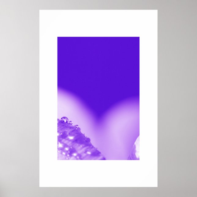 Poster Purple humide (Devant)