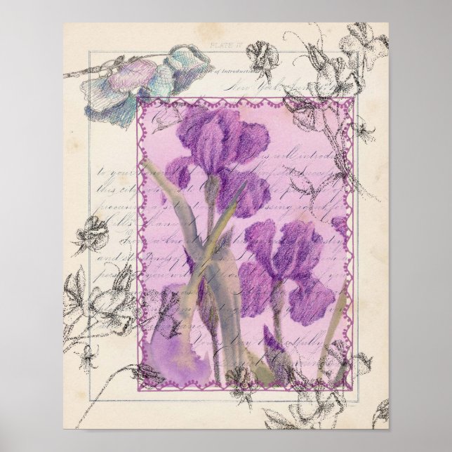 Poster Purple Iris Sweet Pea Aquarelle Fleurs Collage (Devant)