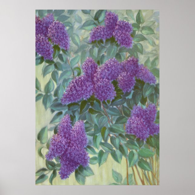 Poster Purple Lilac par Cargill, 1937 (Devant)
