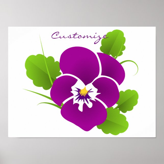 Poster Purple Pansy Flower Thunder_Cove (Devant)