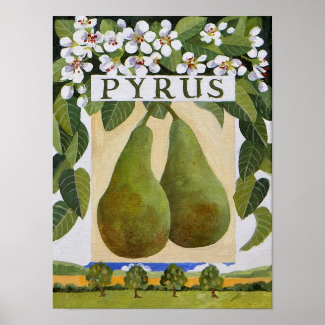 Poster Pyrus (Devant)