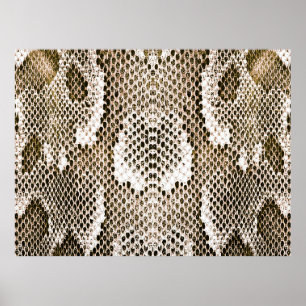 Poster python skin, snake pattern, animal skin pattern de