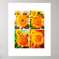 Quad tournesol