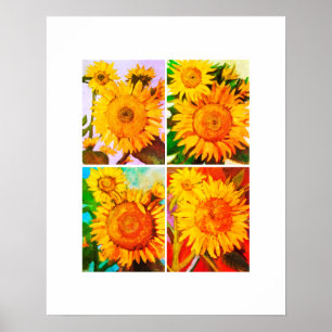 Poster Quadruple de tournesol