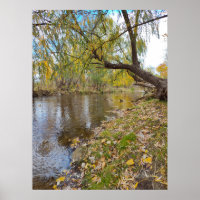 Quand les Feuilles jouent une mélodie