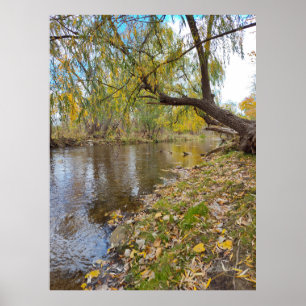 Poster Quand les Feuilles jouent une mélodie