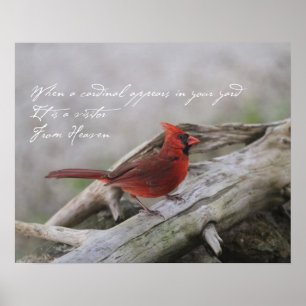 Poster Quand un cardinal apparaît dans votre cour....
