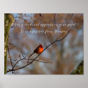 Poster Quand un cardinal apparaît, photographiez