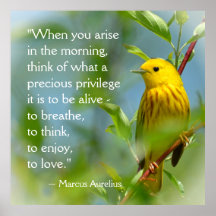 Quand Vous Aristez Marcus Aurelius Citation Inspir