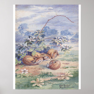 Poster Quatre lapins couchés 16 X 20 tirage