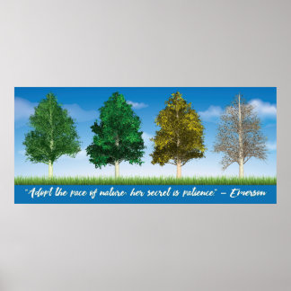 Poster Quatre saisons d'arbres d'Aspen