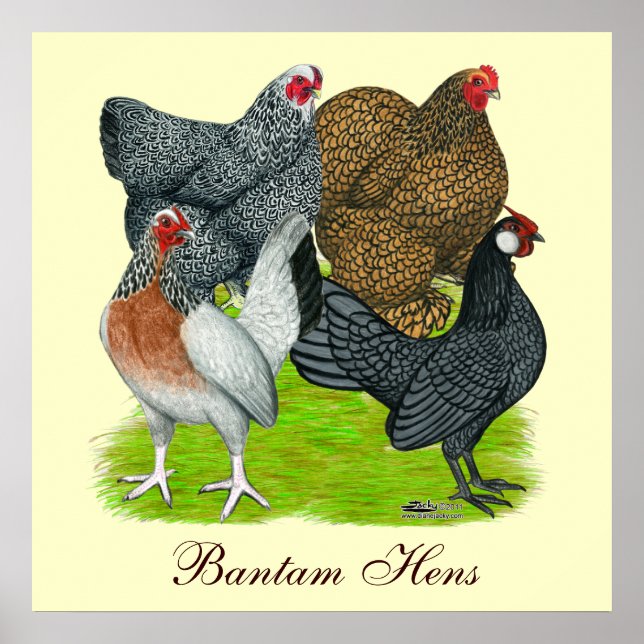 Poster Quatuor Bantam Hen, Bantam Hens (Devant)