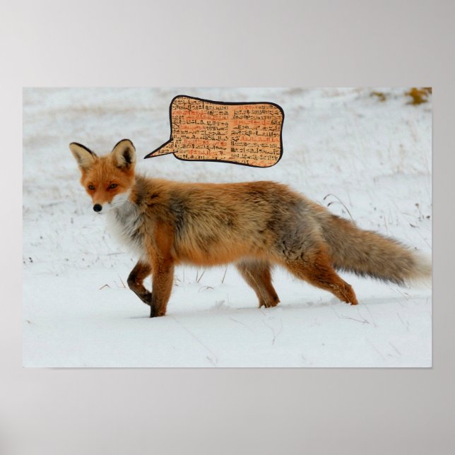 Poster Que dit le renard ? Imprimerie d'art hommage Ylvis (Devant)