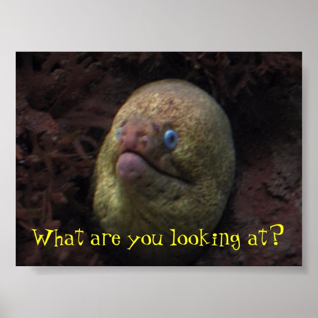 Poster Que regardes-tu ? (Devant)