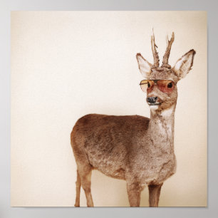 Poster Que regardes-tu ?