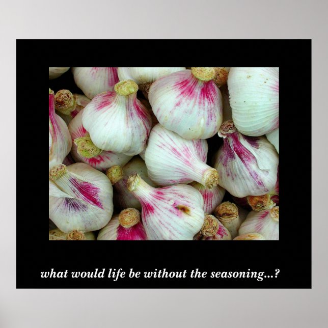 Poster Que serait la vie..... (Devant)