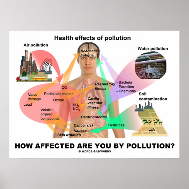 Poster Quel Est Votre Impact Sur La Pollution ? (Physiolo (Devant)