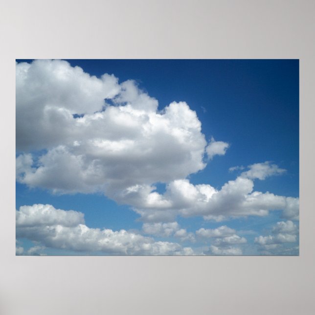 Poster Quelles formes voyez-vous ? (Devant)