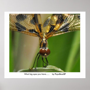 Poster Quels grands yeux tu as...... ...