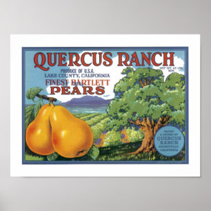 Poster Quercus Ranch Bartlett Pears