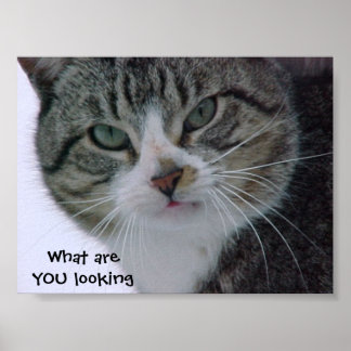 Poster Qu'est-ce que VOUS regardez ? ! ? !