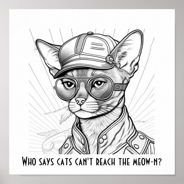 Poster Qui dit que les chats ne peuvent pas atteindre le  (Devant)