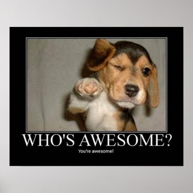 Poster Qui est Awsome ? (Devant)
