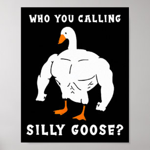 Poster Qui Vous Appelez Silly Goose Funny Gym meme