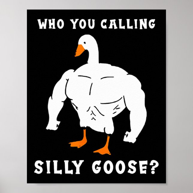 Poster Qui Vous Appelez Silly Goose Funny Gym meme (Devant)