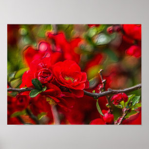 Poster Quince Branch