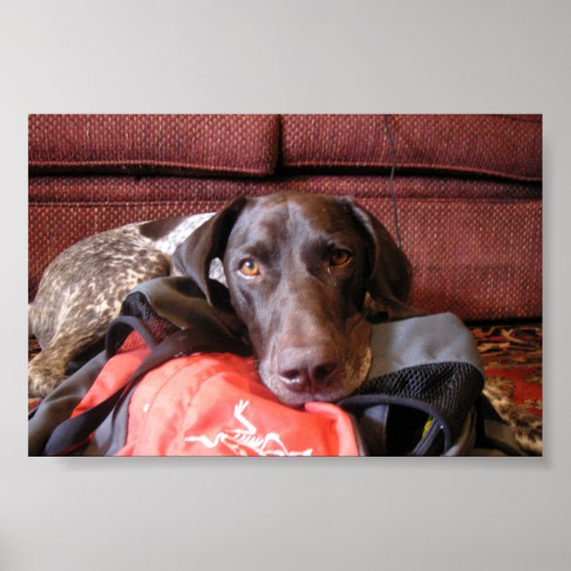 Poster Quincy (Devant)