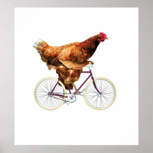 Poster Quirky Chicken Riding Bicycle