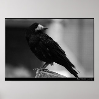 Poster Quitter le paradis