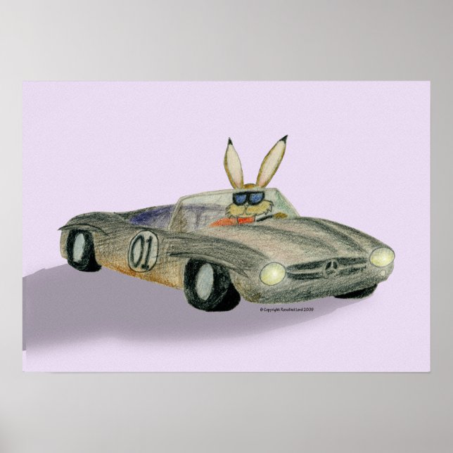 Poster Rabbit de course automobile (Devant)
