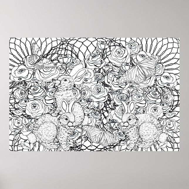 Poster Rabbit Rich (Devant)