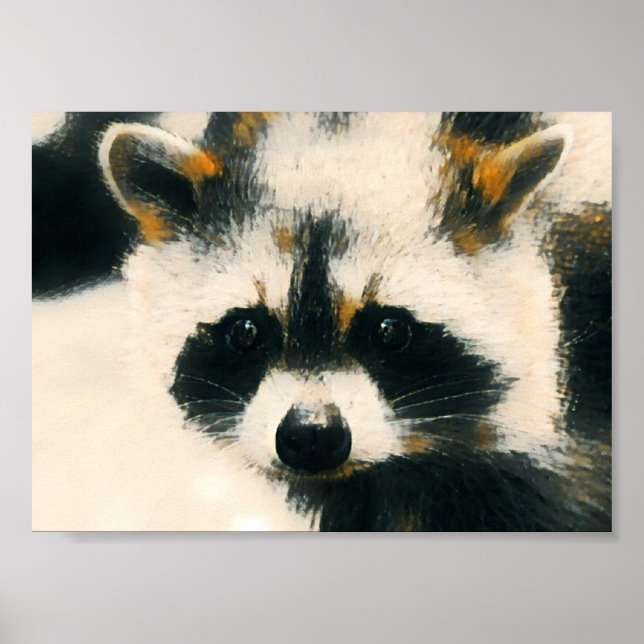 Poster Raccoon (Devant)