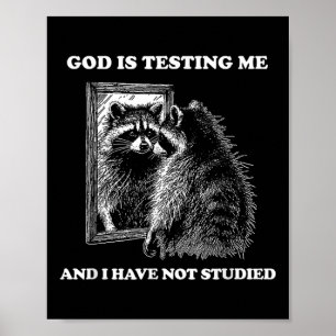 Poster Raccoon Mème Drôle Dire Que Dieu Me Teste Street