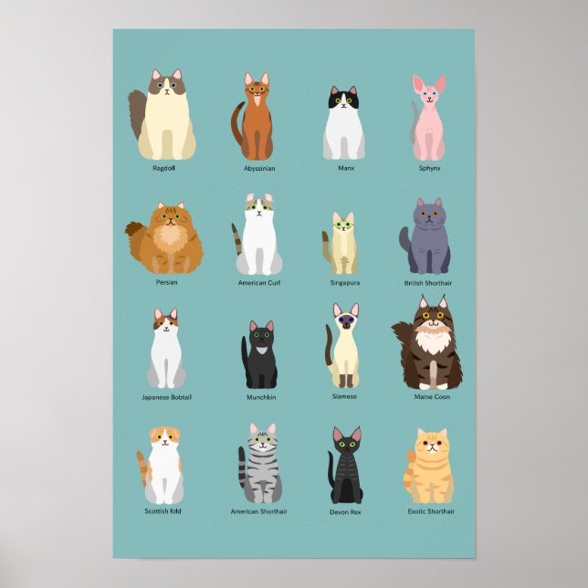 Poster races de chats, divers chats, chats art (Devant)