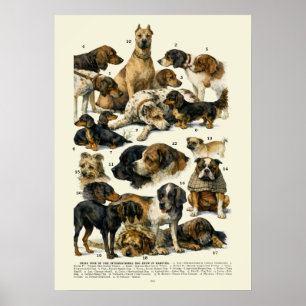 Poster Races de chiens rétro de l'ère victorienne Gagnant