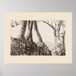 Poster Racines d'arbre Cornwall Eleanor Hughes Réimpressi