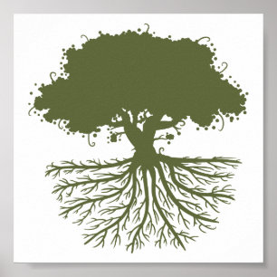 Poster Racines de l'arbre