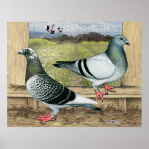 Poster Racing Homers à Loft