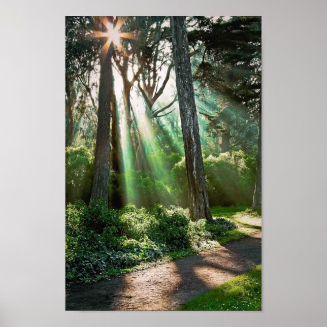 Poster Radiant (Devant)