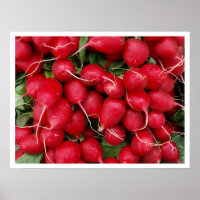 Radis rouges