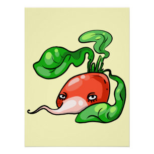 Poster Radish