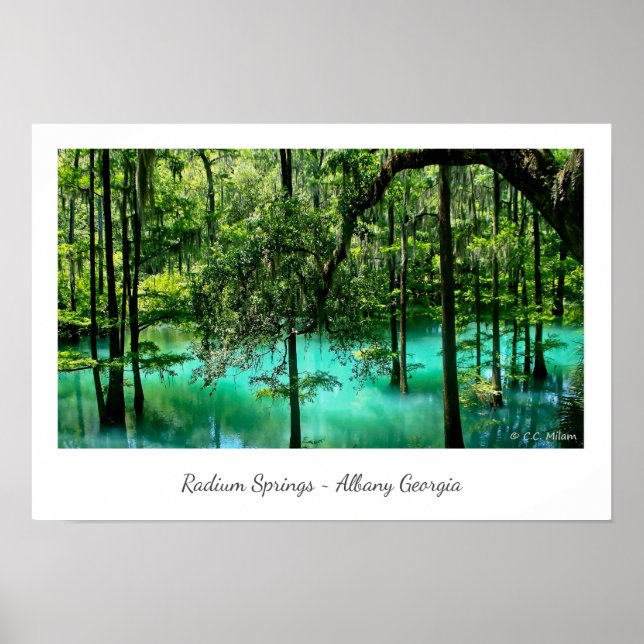 Poster Radium Springs ~ Albany Georgia (Devant)