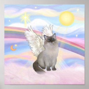 Poster Ragdoll Chat (Point Bleu) Angel - Nuages