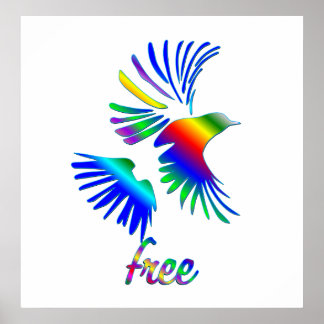 Poster Rainbow bird