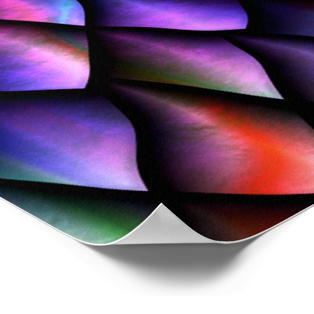 Poster Rainbow Dragon Scales (Coin)